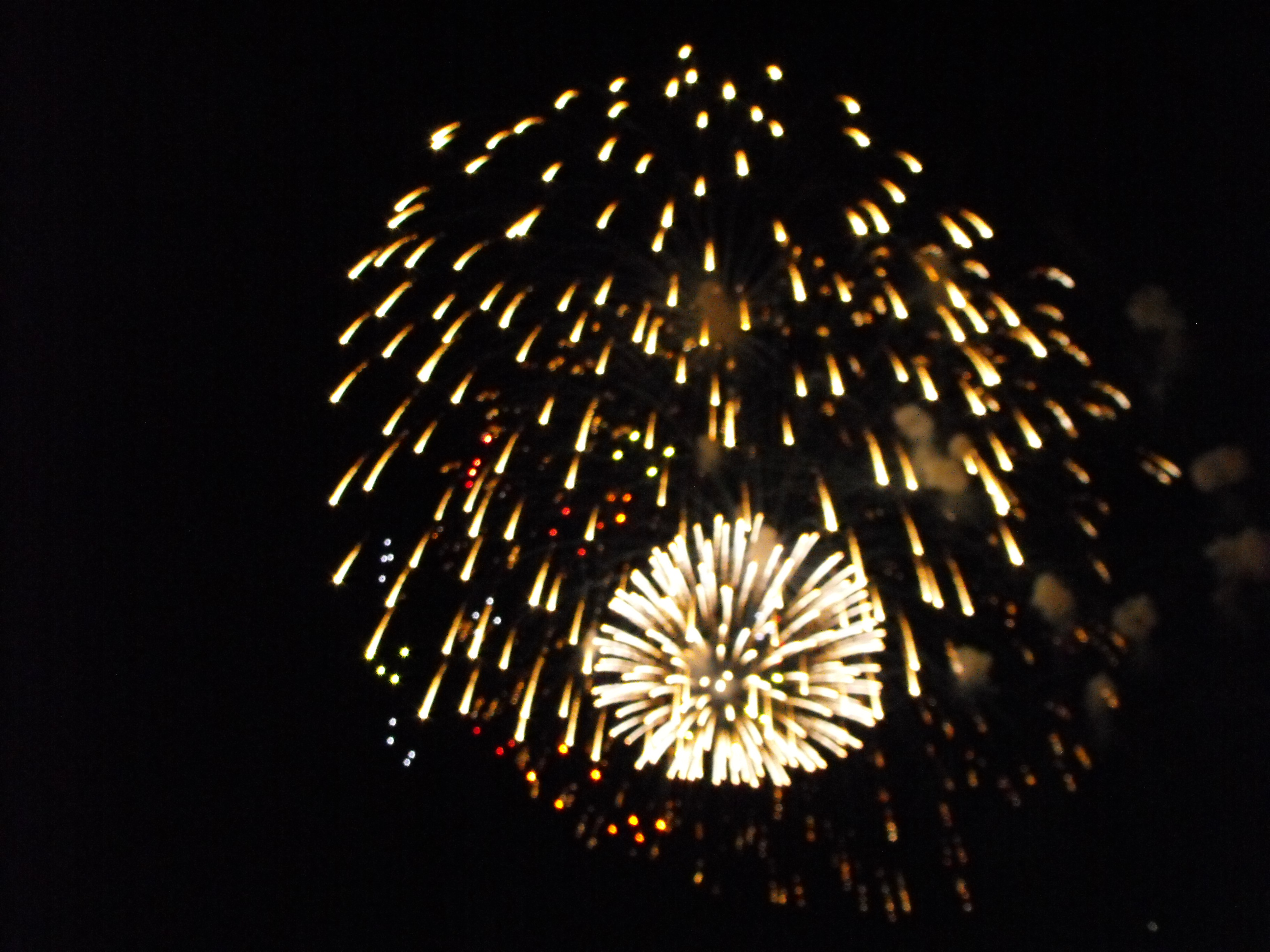 ./2010/Fourth of July/4th July Fireworks Wilm 0033.JPG